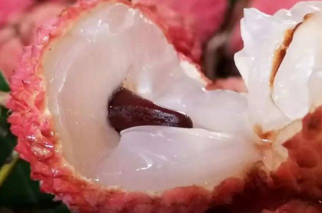 �r��֦���ܺ�ʲôһ��� �r��֦��ô����