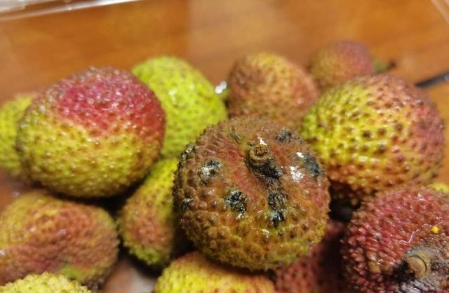 ��֦�l(f��)ù��߀�ܳԆ� �r��֦��ʲô�����h�ű���