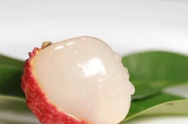 �ЋD���Գ���֦�� �ЋD�ϻ��ܳ���֦��