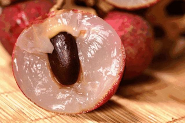 �����ڳ���֦���� ��γ���֦���РI(y��ng)�B(y��ng)