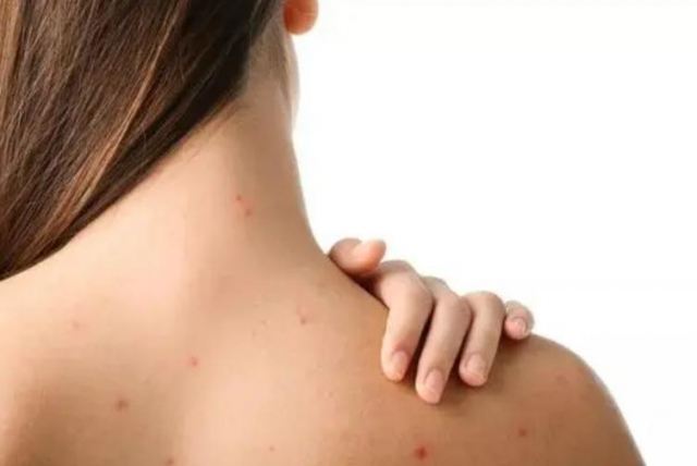 �����L����ô�k�� �󱳵Ķ�������ʲô�k������������ô����