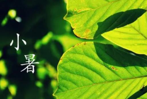 2024年小暑當天下雨好嗎?2024年小暑熱不熱 2024年小暑當天下雨好嗎?2024年小暑熱不熱