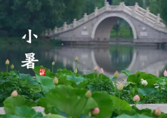 小暑到了天氣有什么變化?小暑下雨好還是晴天好 小暑到了天氣有什么變化?小暑下雨好還是晴天好