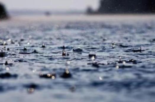 �Ͼ�÷�꼾���ǎ��µ�������6�·��Ͼ���ʲô�·�