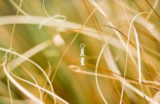 2024年夏至過后還會冷嗎?2024年夏至后雨水會多嗎 2024年夏至過后還會冷嗎?2024年夏至后雨水會多嗎