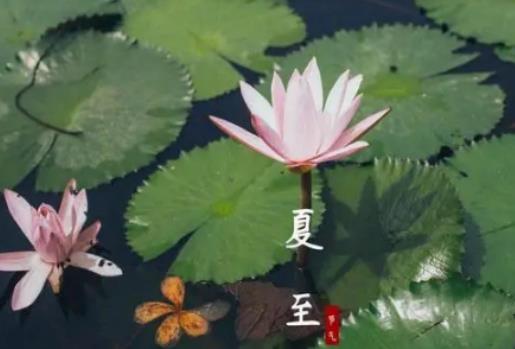 2024年夏至過后還會冷嗎?2024年夏至后雨水會多嗎 2024年夏至過后還會冷嗎?2024年夏至后雨水會多嗎