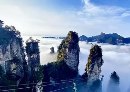 7�·�ȥ���ҽ����߀��8��ȥ�ã����ҽ�7�·����꼾��