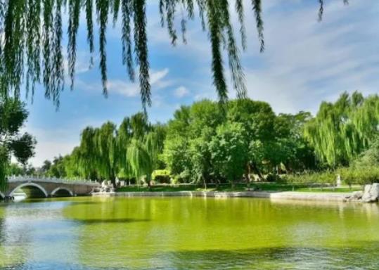 8�·�ȥ������ʲô���m��8�·�ȥ������Щʲô