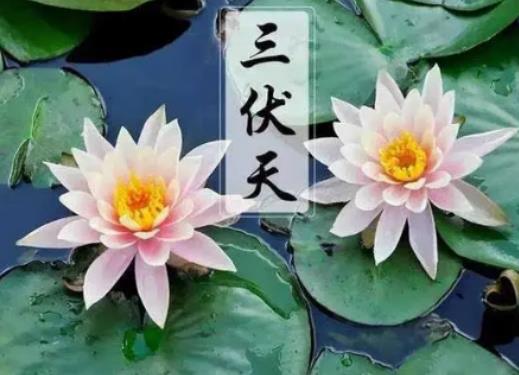 2024年初伏第一天是幾月幾號?2024三伏天從什么時候開始至結束 2024年初伏第一天是幾月幾號?2024三伏天從什么時候開始至結束