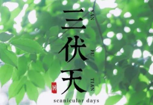 2024年三伏天是公伏還是母伏?2024年入伏是幾月幾號 2024年三伏天是公伏還是母伏?2024年入伏是幾月幾號