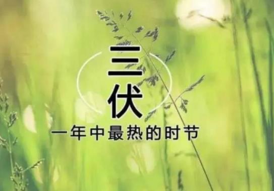 今年三伏天會很熱嗎?三伏天吃什么好排濕氣 今年三伏天會很熱嗎?三伏天吃什么好排濕氣