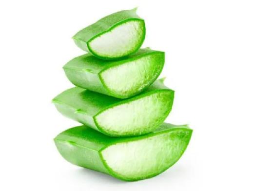 新鮮蘆薈擦臉為什么變黑?新鮮蘆薈擦臉會長斑嗎 新鮮蘆薈擦臉為什么變黑?新鮮蘆薈擦臉會長斑嗎