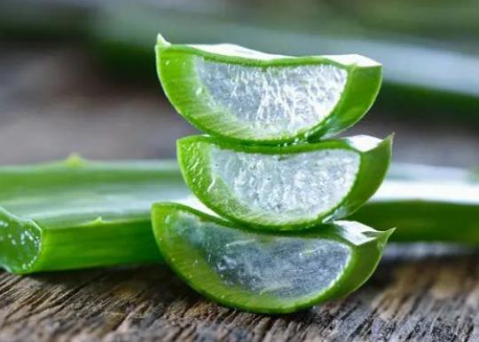 新鮮蘆薈擦臉為什么會刺痛?新鮮蘆薈擦臉有什么副作用 新鮮蘆薈擦臉為什么會刺痛?新鮮蘆薈擦臉有什么副作用