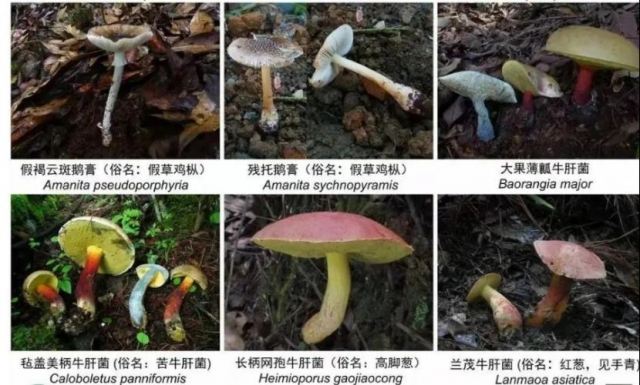 ���ж���ɶ����Ҋ��С���ˡ����������