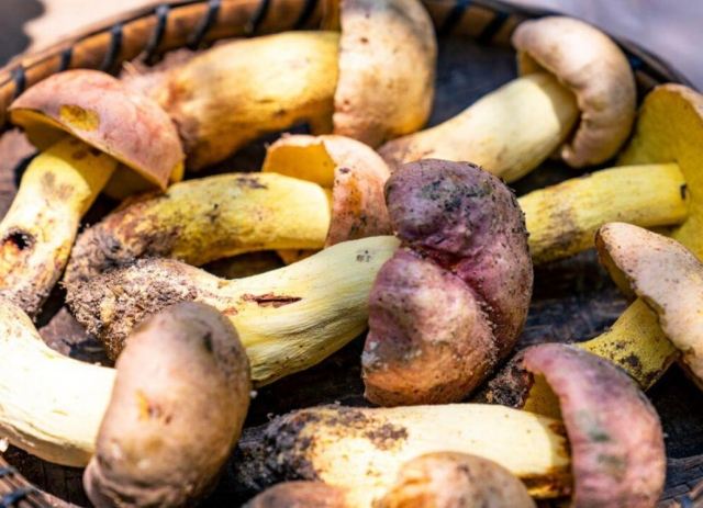 ����Ҋ�����ж��Y�� ��Ҋ�����ж���÷���