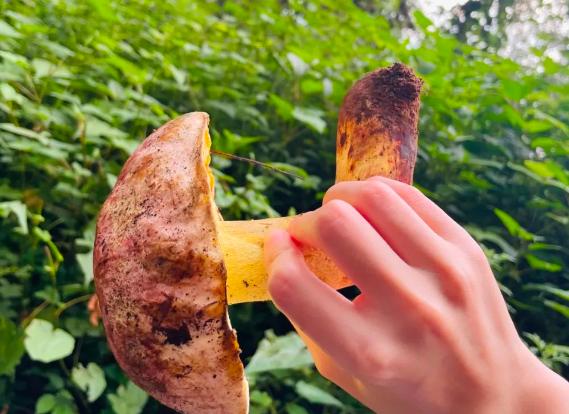 �Ծ��ж������F���X�� �Ծ��ж����F���X��ô�k