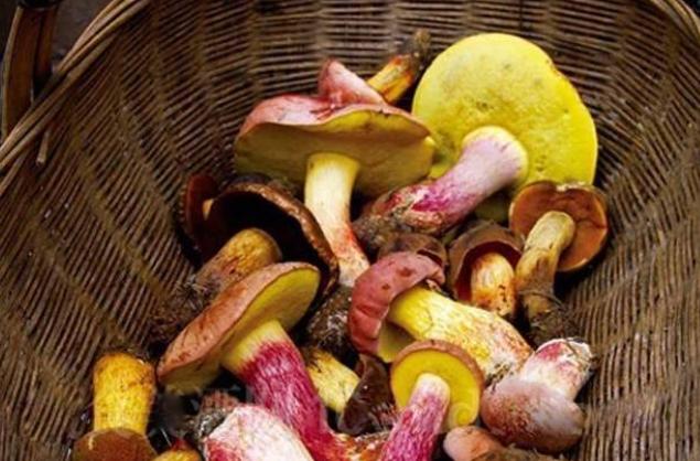 �Ծ��ж������F���X�� �Ծ��ж����F���X��ô�k