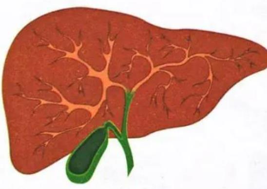 �ƾ�����ô�õģ���Ӳ����Ѫ�ǵ�Ӱ�