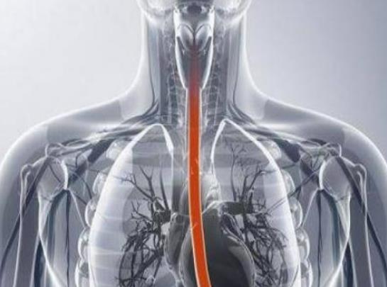 ʳ�����ܳ��u���᣿ʳ���������ڰY������Щ