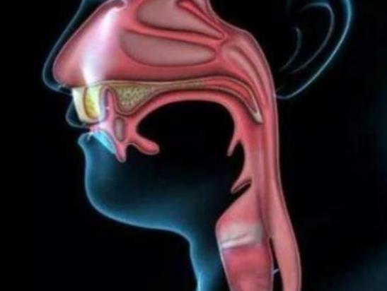 食道癌可以治愈嗎?如何有效預防食道癌 食道癌可以治愈嗎?如何有效預防食道癌