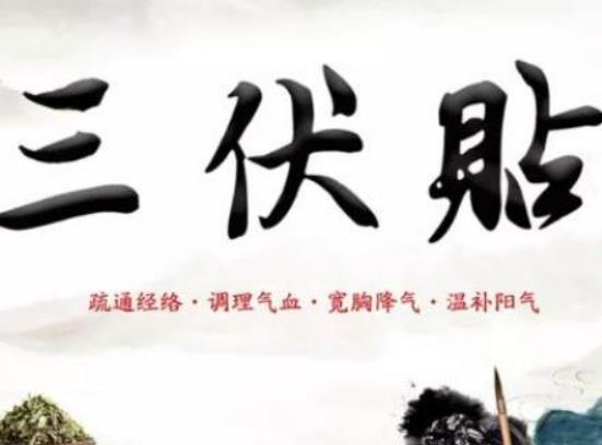 三伏貼能治肩周炎嗎?三伏天怎么治療月子病 三伏貼能治肩周炎嗎?三伏天怎么治療月子病