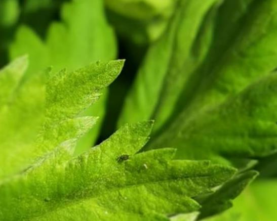 ������ˮ�������^��᣿�����L���ð��~ˮϴ�^��