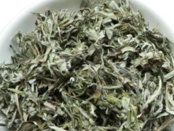 用艾草水洗頭能去頭皮屑嗎?艾葉洗頭能治脫發嗎 用艾草水洗頭能去頭皮屑嗎?艾葉洗頭能治脫發嗎