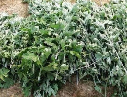 �ЋD����˯�������^�������~���^���ϻ���