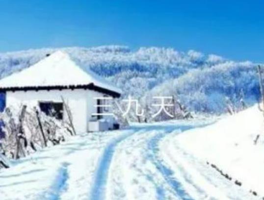 三九天如何養生?三九天最適合減肥的運動 三九天如何養生?三九天最適合減肥的運動