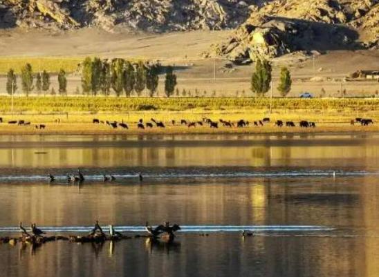 �ɿ��к������Ă��؅^���½�������澰�c��ʲô