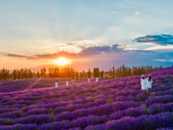 �ɿ��к������Ă��؅^���½�������澰�c��ʲô