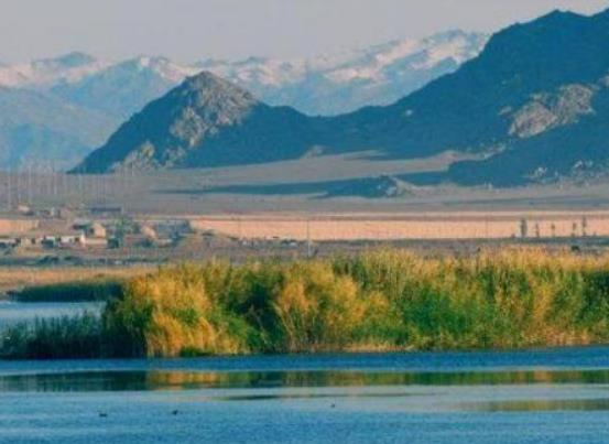 �ɿ��к��������������ξ��c(di��n)����Щʲô�ط�