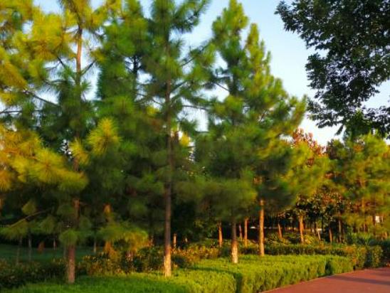 ���쳿�ܺ�߀��ҹ�ܺã��ո����ܵĉ�̎