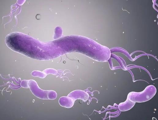 ���T�ݗU������ָ�˷����Ƕ��٣�����A�����T�ݗU����Ⱦ