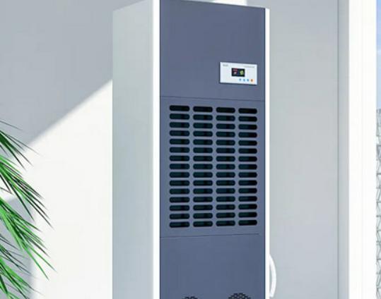 ʮ�����CƷ�����а���ɭ������CƷ�|׿Խ����������C�h���Ƽ�