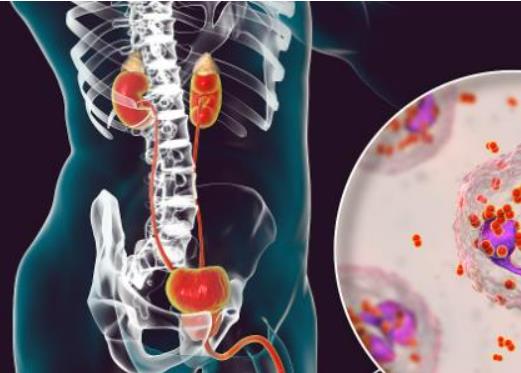 �ܲ���ô���������ܲ�ͨ�^ʲô��Ⱦ��