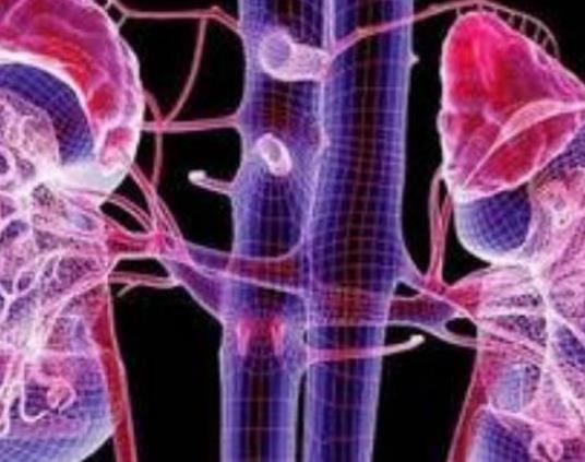 腎結石吃藥有用嗎?腎結石吃什么藥物有效 腎結石吃藥有用嗎?腎結石吃什么藥物有效