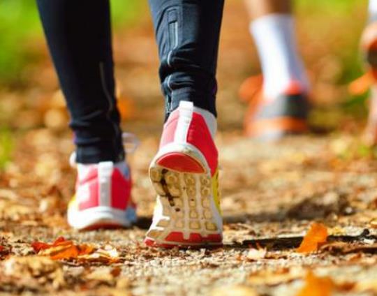 �L����������Щ��̎�����ܺ����K�Ă����ܜp��