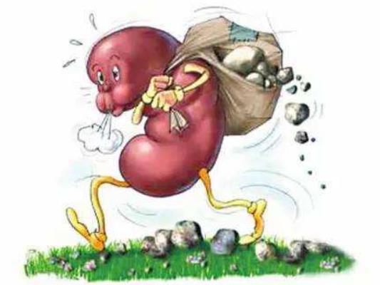 腎結(jié)石多囊腎怎么辦?多囊腎結(jié)石可以做穿刺嗎 腎結(jié)石多囊腎怎么辦?多囊腎結(jié)石可以做穿刺嗎