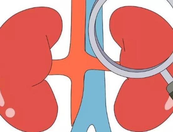 腎結石什么時候跳最好?腎結石取管子要多長時間 腎結石什么時候跳最好?腎結石取管子要多長時間