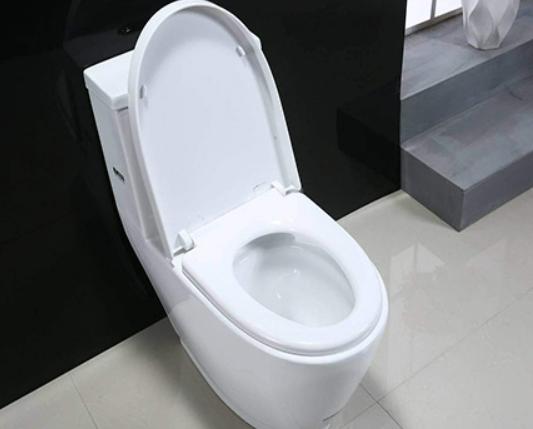 十大坐便器排行榜,TOTO坐便器很時(shí)尚、科勒坐便器讓你用得更安心 十大坐便器排行榜,TOTO坐便器很時(shí)尚、科勒坐便器讓你用得更安心