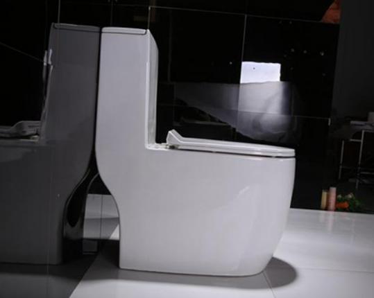 十大坐便器排行榜,TOTO坐便器很時(shí)尚、科勒坐便器讓你用得更安心 十大坐便器排行榜,TOTO坐便器很時(shí)尚、科勒坐便器讓你用得更安心