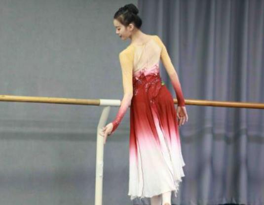 ���ӌW(xu��)�赸����Щ��̎��ˇ���赸������Щ��(n��i)��