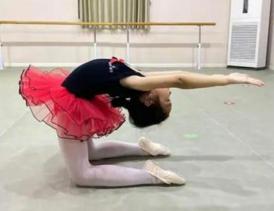 Ů���W(xu��)ʲô�赸���^�ã��赸�����w��߀��ˇ�g(sh��)