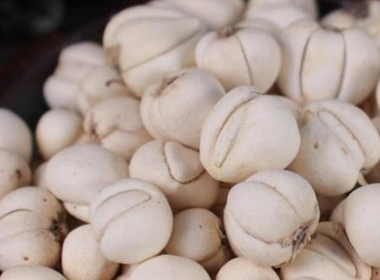 川貝枇杷膏可以空腹吃嗎?川貝枇杷膏可以兌水喝嗎 川貝枇杷膏可以空腹吃嗎?川貝枇杷膏可以兌水喝嗎