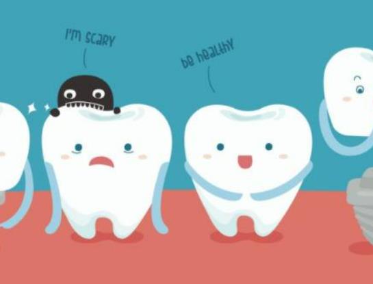 �Nֲ���X�t���܈��N�����Nֲ���X���ö�����