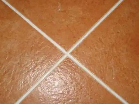 ʮ��ɴu���p��Ʒ�����а񣬰ٵôɴu���p�����¸ߴɴu���p���|(zh��)�кܺ�