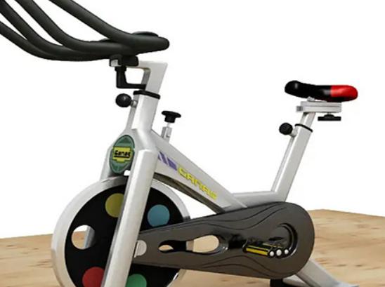 十大健身車品牌排行榜,喬山健身車很專業(yè)、必艾奇健身車擁有百年歷史 十大健身車品牌排行榜,喬山健身車很專業(yè)、必艾奇健身車擁有百年歷史