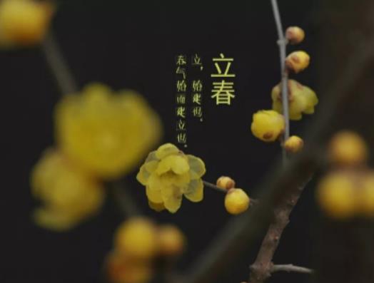 2025��������ʲô�r(sh��)�g���c(di��n)�׷֎��룿2025���д�߀�ǟo��