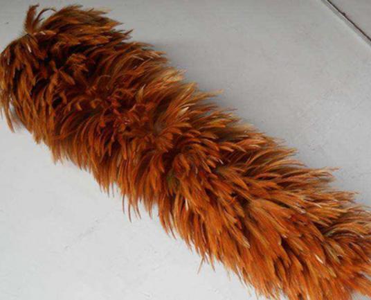 十大雞毛撣子品牌排行,茶花雞毛撣子知名度高、妙潔雞毛撣子深入人心 十大雞毛撣子品牌排行,茶花雞毛撣子知名度高、妙潔雞毛撣子深入人心